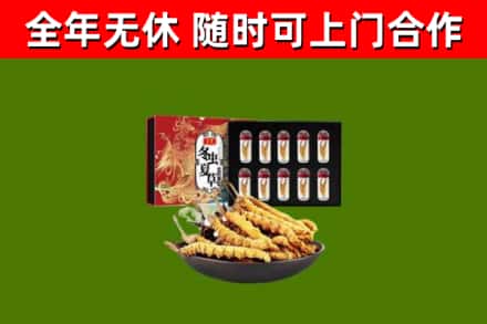红岗烟酒回收冬虫夏草礼盒.jpg
